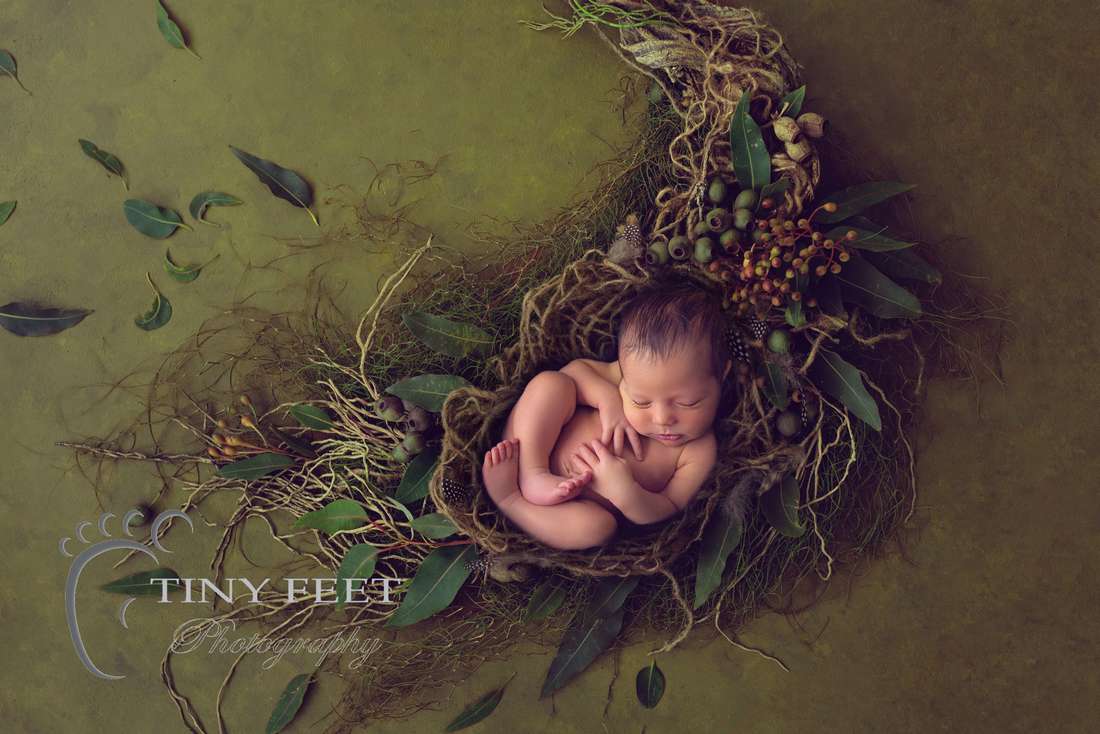 Tiny Feet Photography Newborn baby boy posed on black on digital backdrop