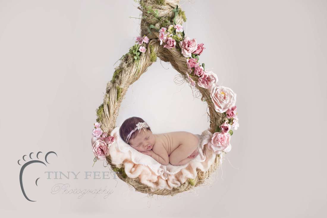 Tiny Feet Photography baby girl posed in digital backdrop hanging basket