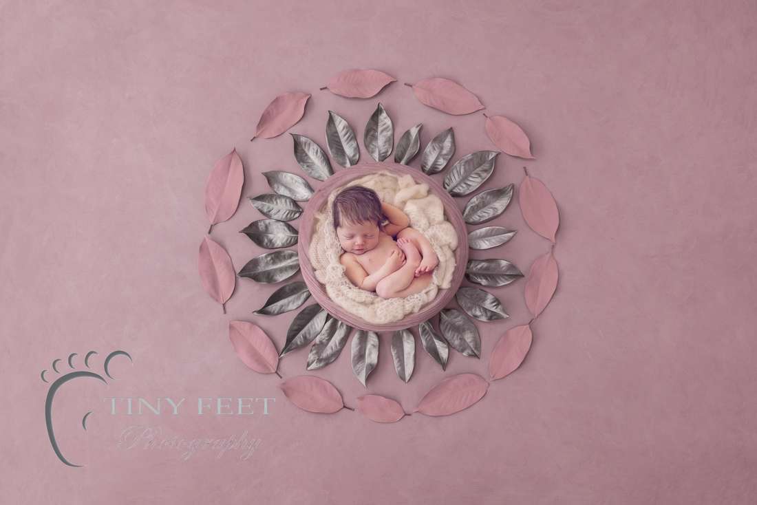 Tiny Feet Photography baby girl posed in digital pink backdrop