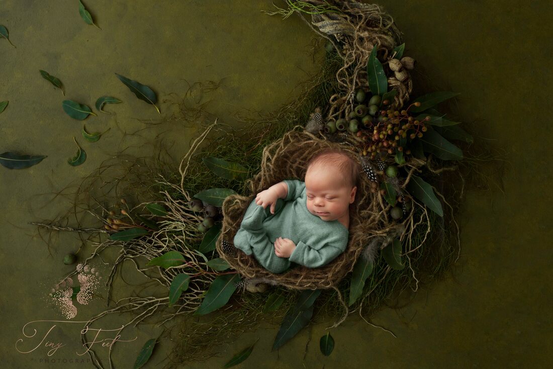 Tiny Feet Photography Newborn baby boy in green on digital backdrop with nature