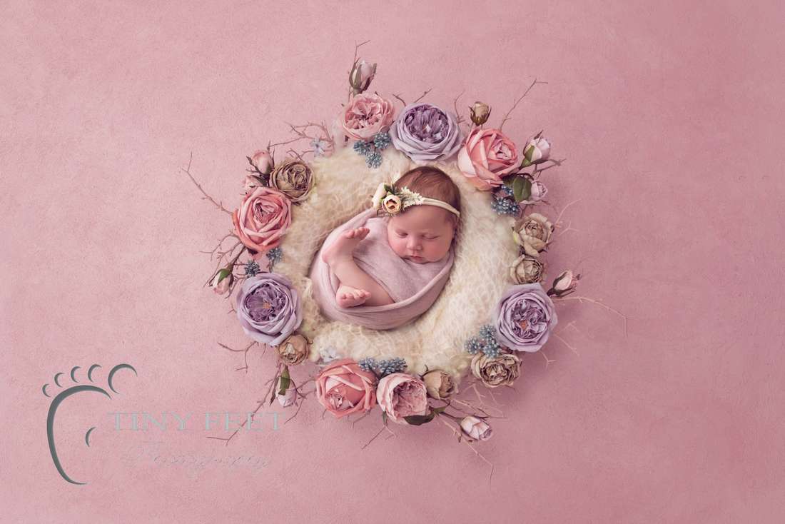 Tiny Feet Photography baby girl in pink flowers digital backdrop