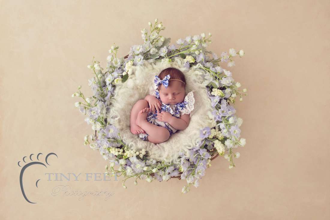 Tiny Feet Photography baby girl in flowers digital backdrop