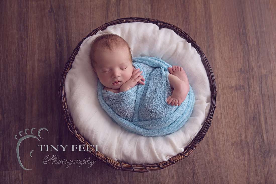 Tiny Feet Photography, newborn baby boy posed in bowl with blue wrap