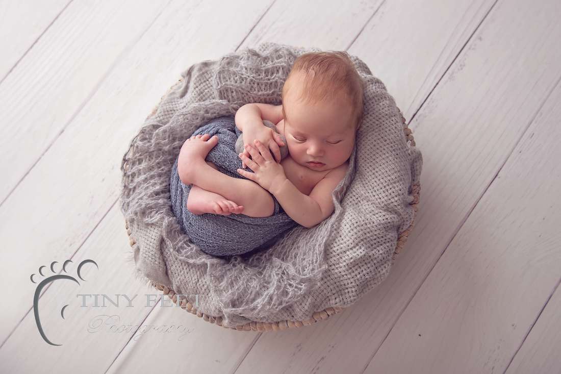 Tiny Feet Photography, newborn baby boy wrapped and posed in grey 