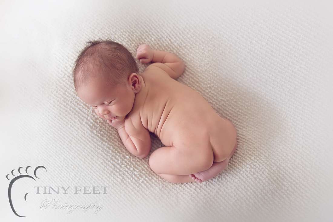 Tiny Feet Photography Newborn boy in bum up pose on cream blanket