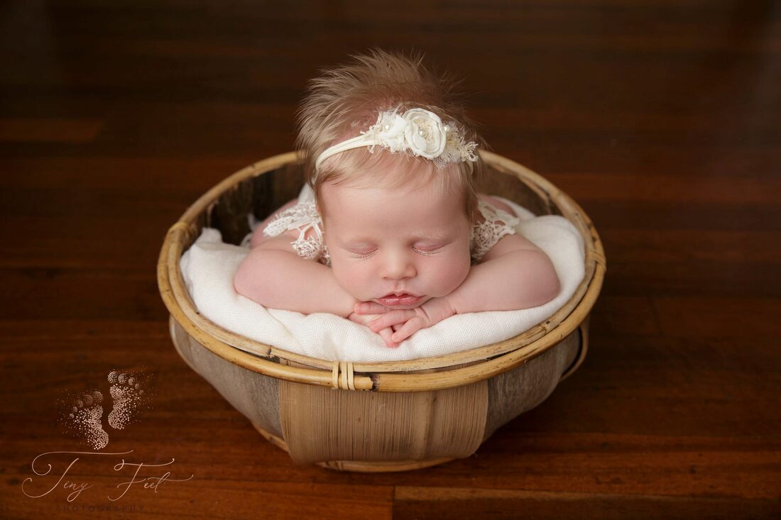 Tiny Feet Photography shot of baby girl and lace posed on chin in hands upright in coconut shell