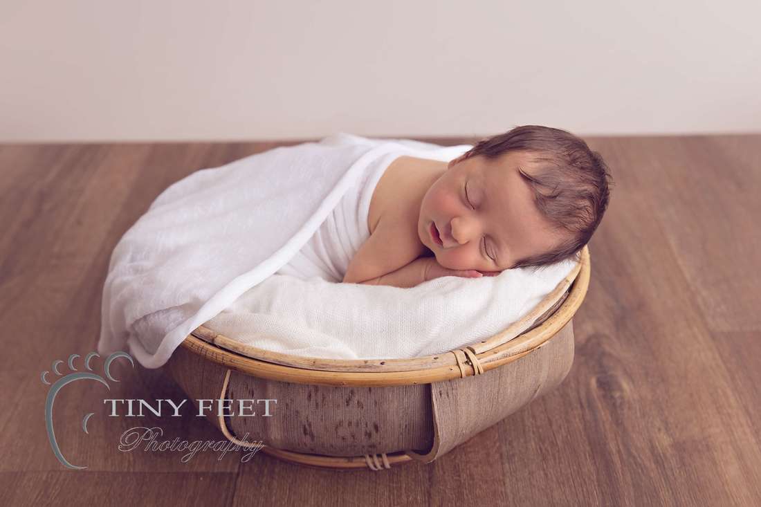 Tiny Feet Photography, newborn baby girl posed on belly in coconut bowl