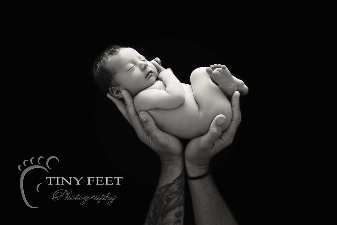 Tiny Feet Photography, newborn baby in black and white posed in dads hands