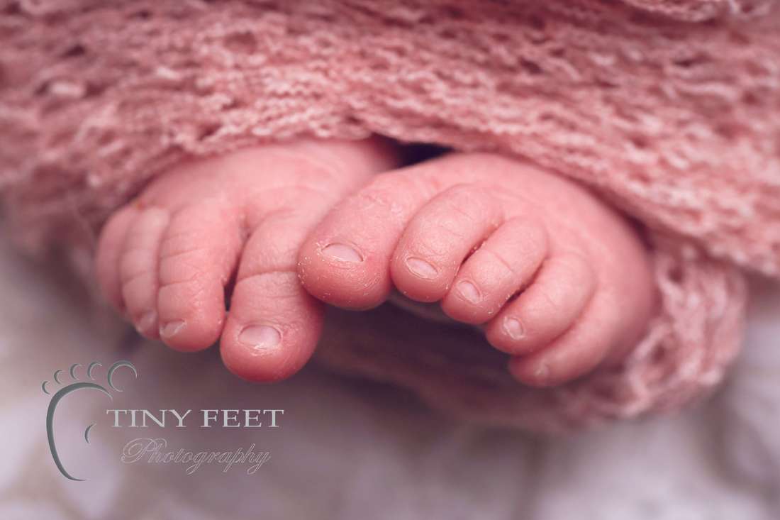Tiny Feet Photography baby girl close macro details of toes