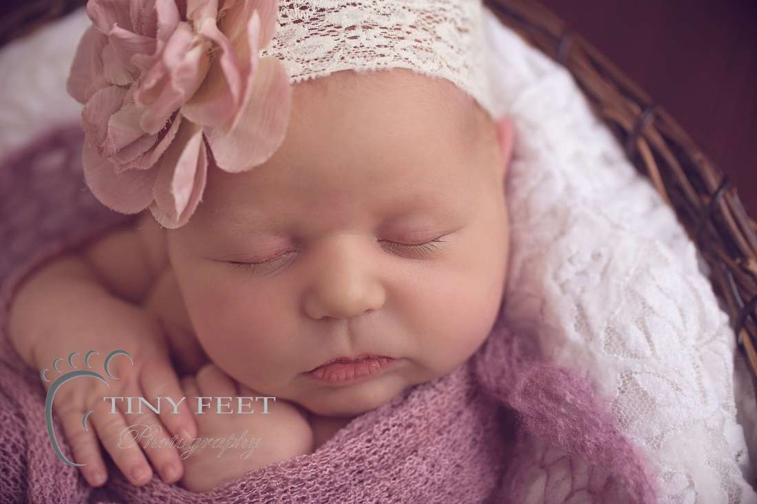 Tiny Feet Photography newborn baby girl posed in bowl