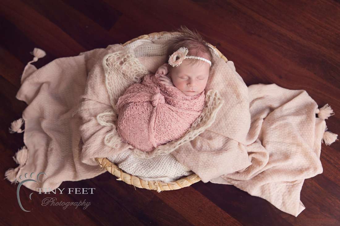 Tiny Feet Photography baby posed in pink asleep in bowl