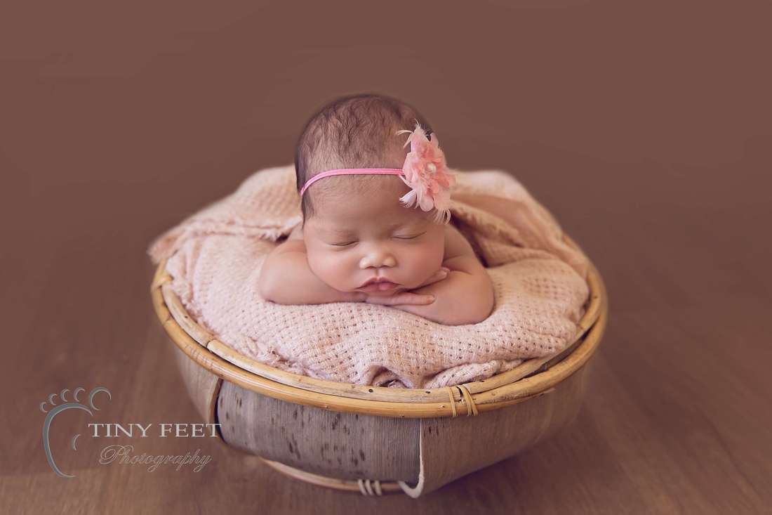 Tiny Feet Photography newborn baby girl posed in bowl