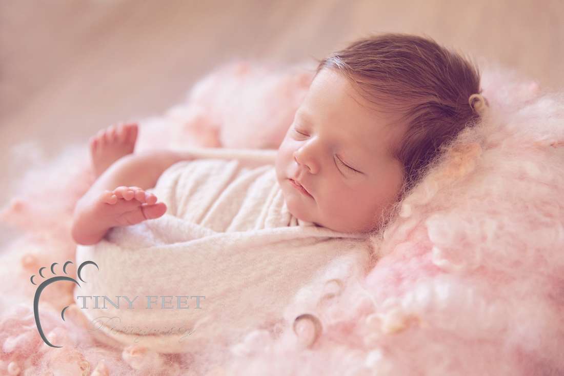 Tiny Feet Photography baby girl wrapped in pink backlit on pink curly felt