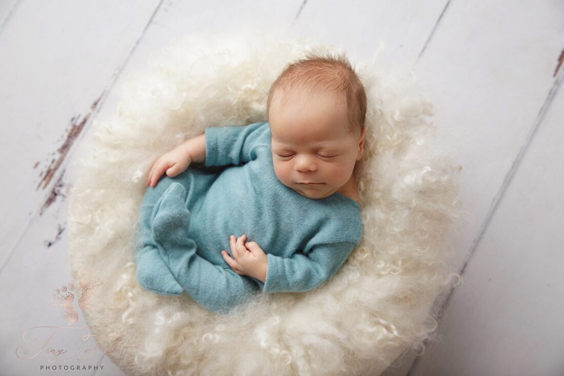 Tiny Feet Photography Newborn baby boy posed on white fluffy pillow