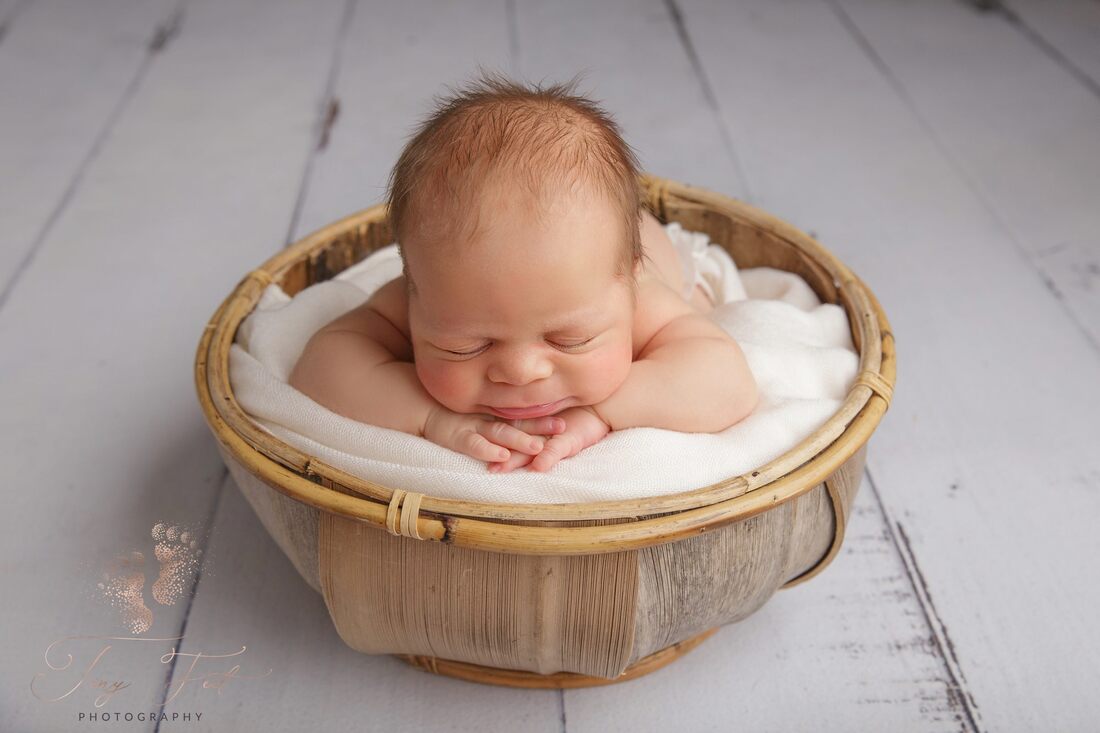 Tiny Feet Photography Newborn baby boy posed on chin on hands in upright prop of coconut bowl on white wood flooring