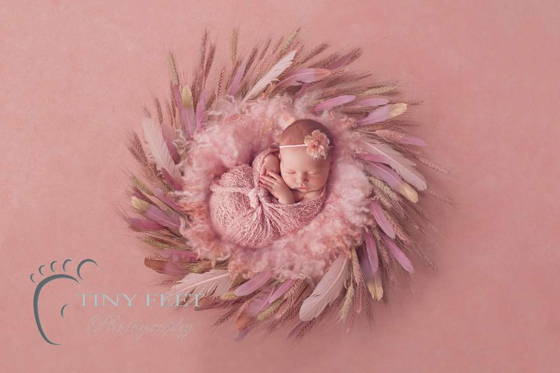 Tiny Feet Photography baby girl posed in pink wrap on pink digital backdrop with feathers