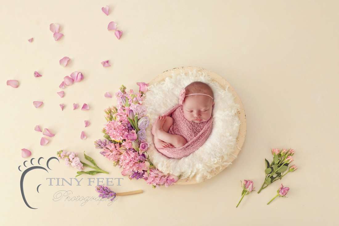 Tiny Feet Photography baby girl posed in pink wrap on cream digital backdrop with flowers