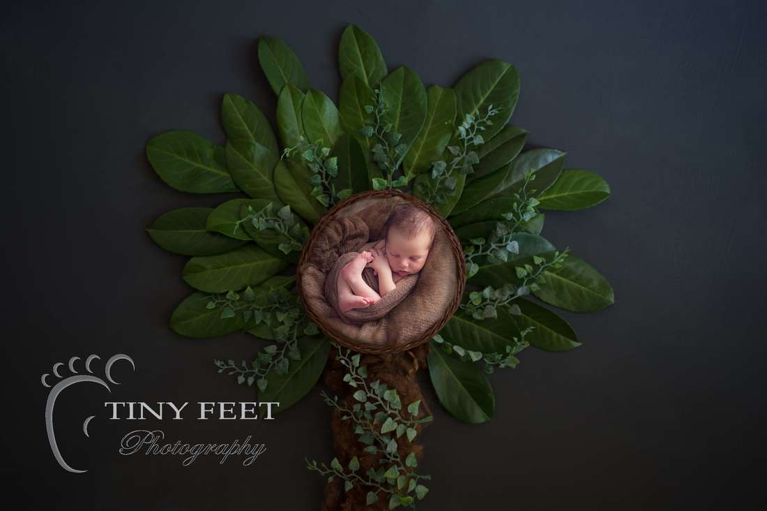 Tiny Feet Photography baby boy posed in tree backdrop