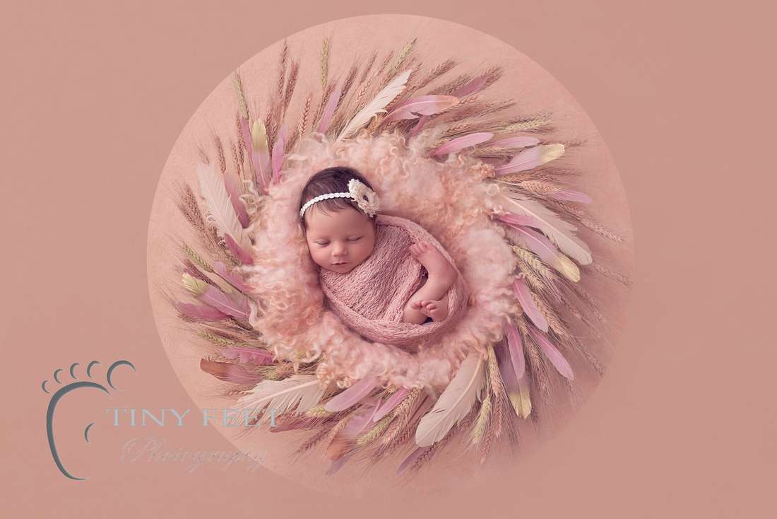 Tiny Feet Photography newborn baby girl in pink digital backdrop