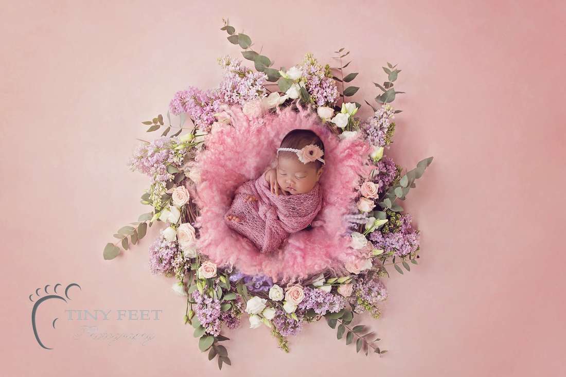  Tiny Feet Photography newborn baby girl in pink basket with pink flowers