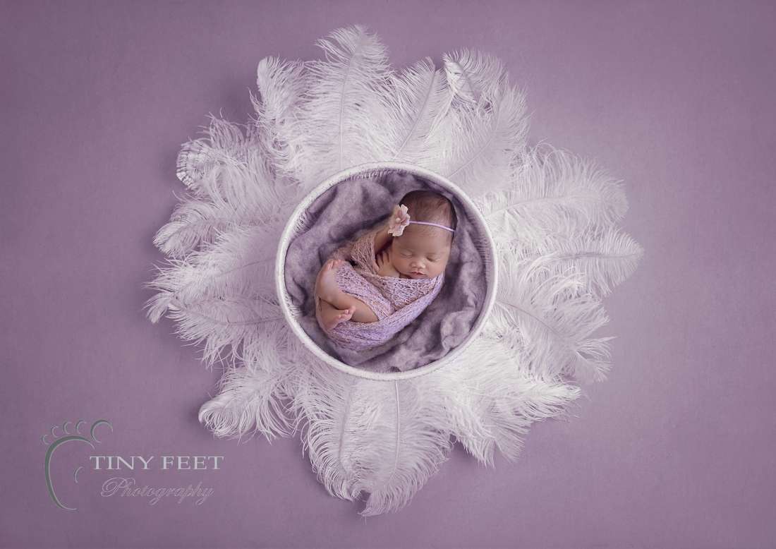 Tiny Feet Photography newborn baby girl in purple basket and composite