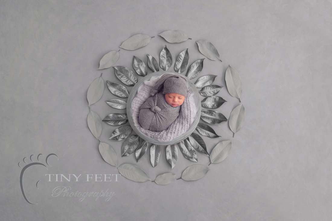 Tiny Feet Photography Newborn baby boy posed on grey on digital backdrop