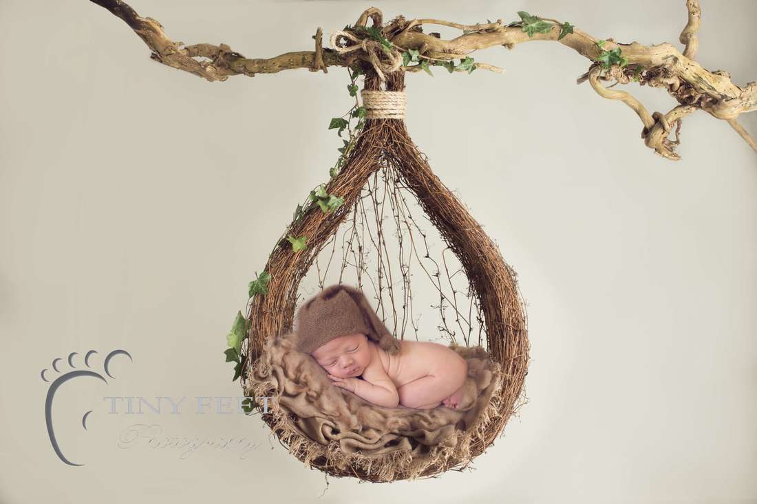 Tiny Feet Photography newborn baby boy posed in bum up pose brown hanging basket digital backdrop