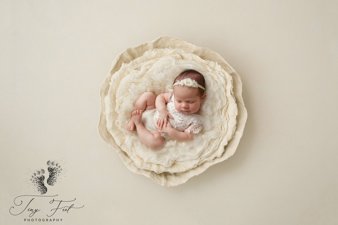 Tiny Feet Photography In home studio newborn session with digital backdrop
