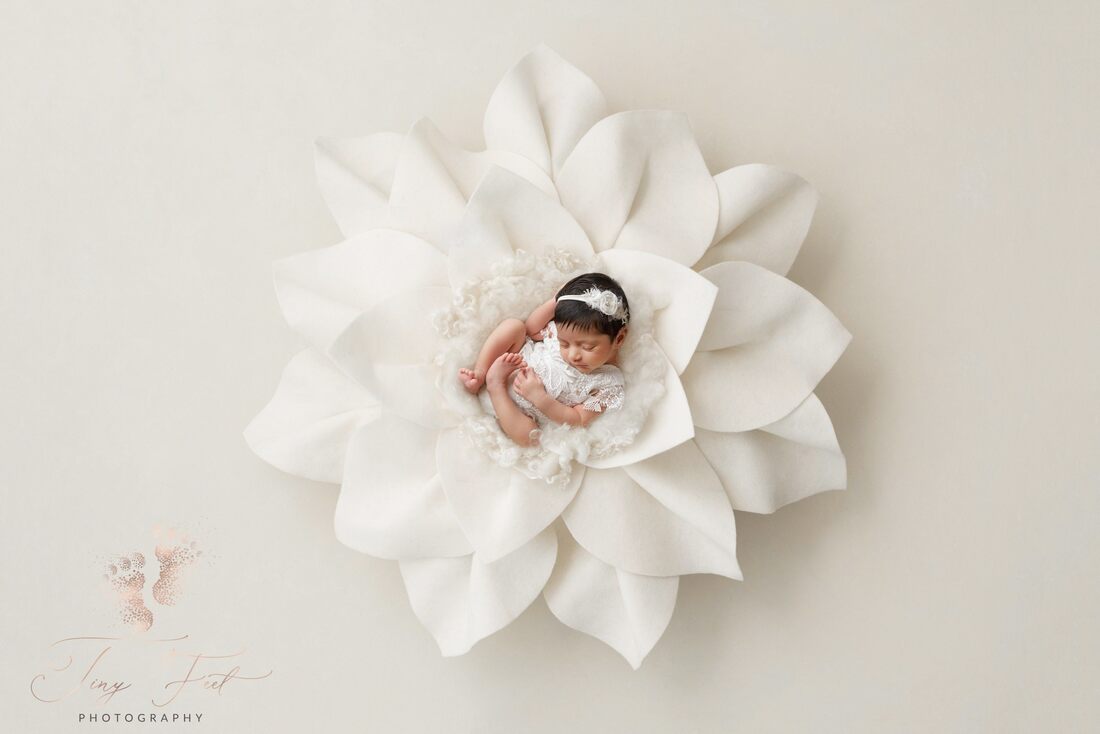 Tiny Feet Photography image of a sweet baby girl in white lace with a white digital flower backdrop