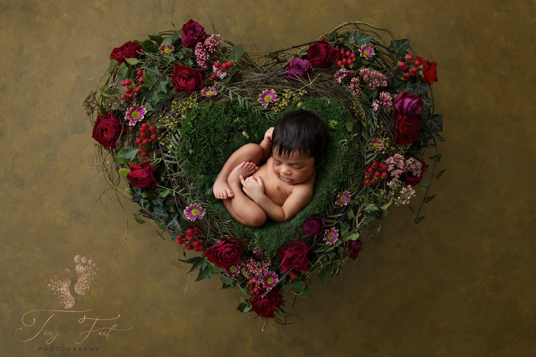 Newborn girl green heart with flowers Luisa Dunn digital backdrops