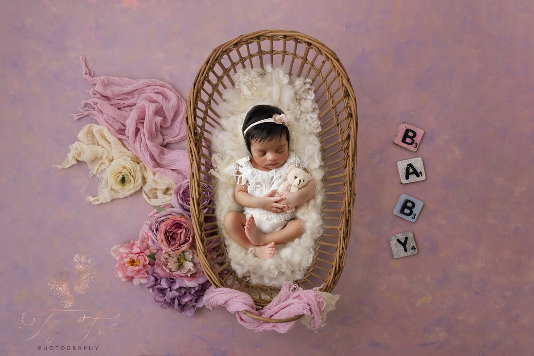 Newborn girl with pink flowers and basket Luisa Dunn digital backdrops
