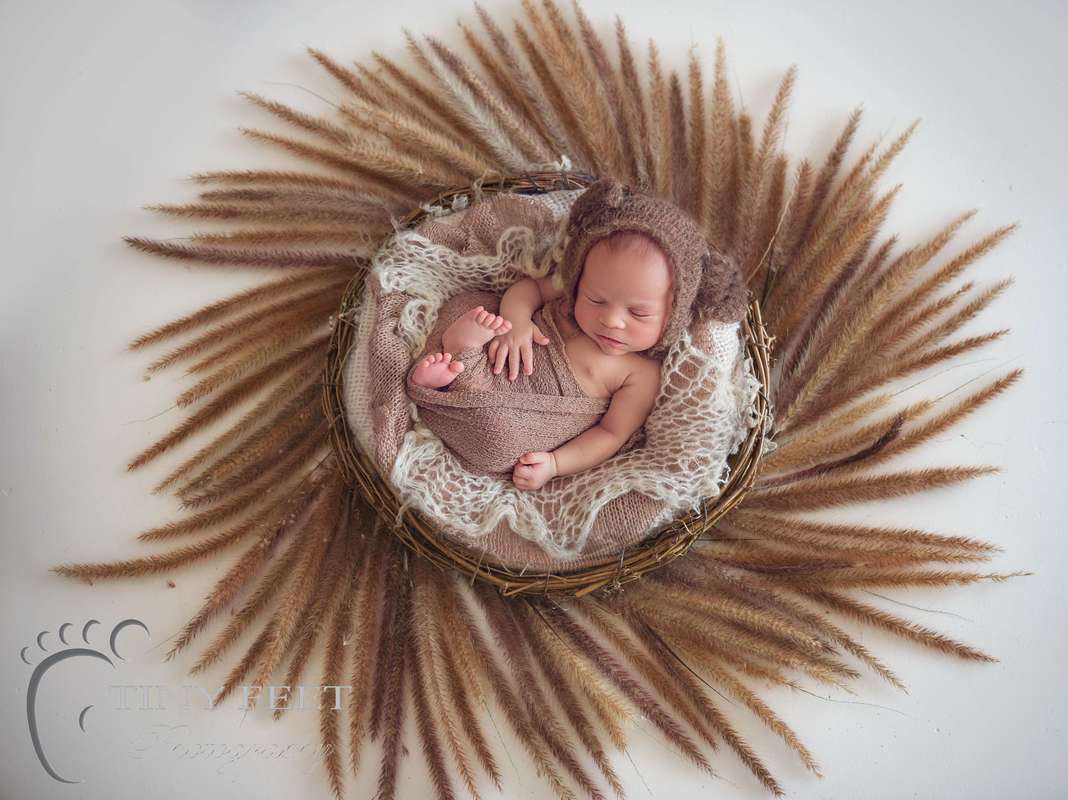 Tiny Feet Photography Newborn boy posed in basket transferred into a digital backdrop
