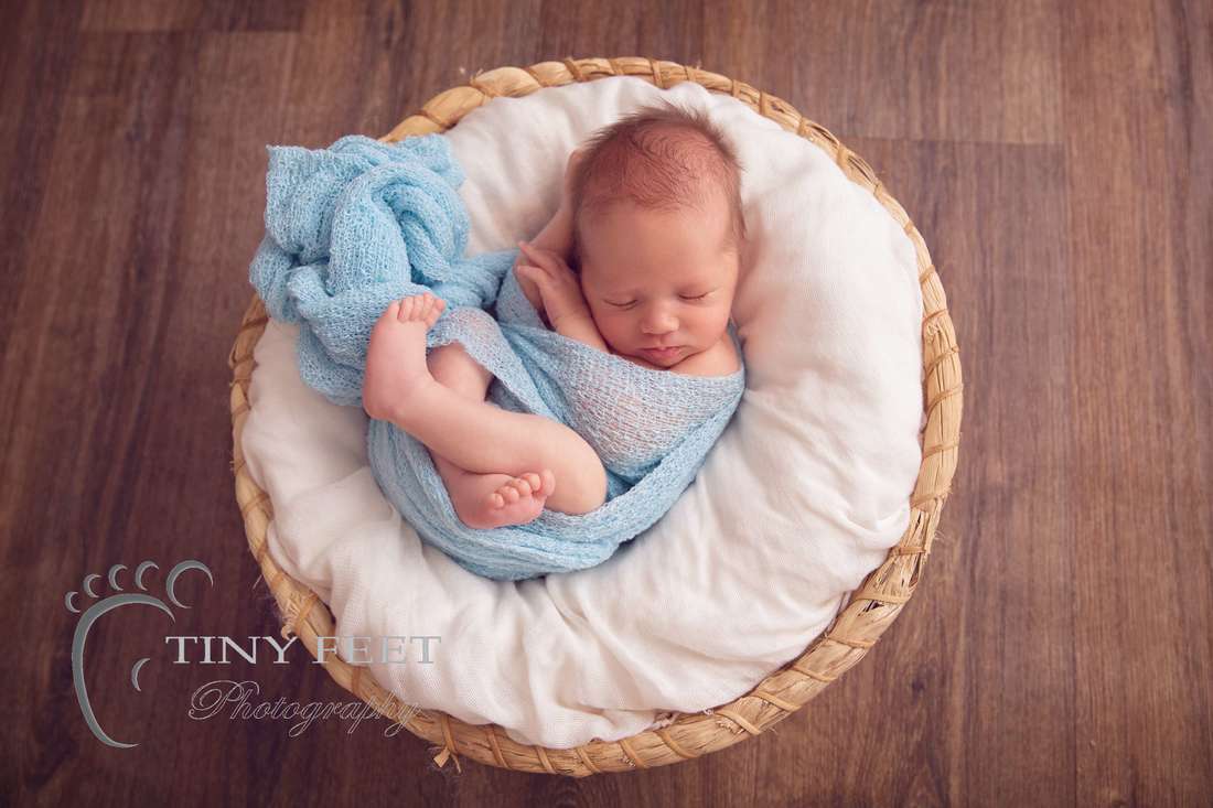 Tiny Feet Photography newborn baby boy in blue wrap posed in bowl