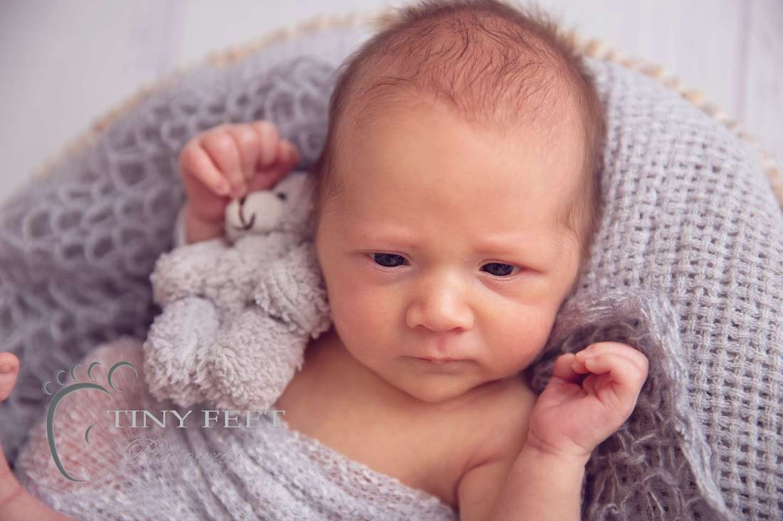 Tiny Feet Photography newborn baby boy in grey awake in bowl 