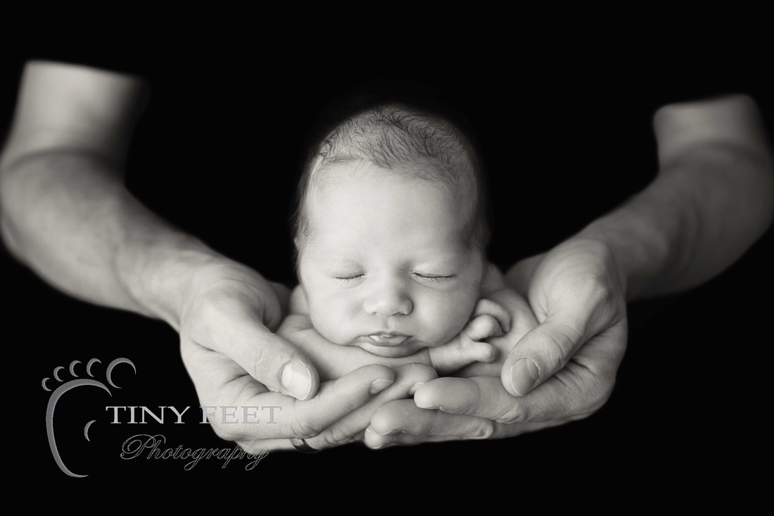 Tiny Feet Photography Black and white  newborn posed in dads hands