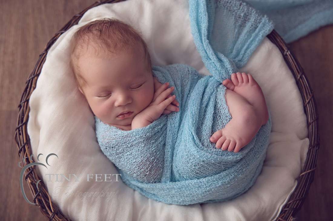 Tiny Feet Photography, newborn baby boy wrapped in blue in basket