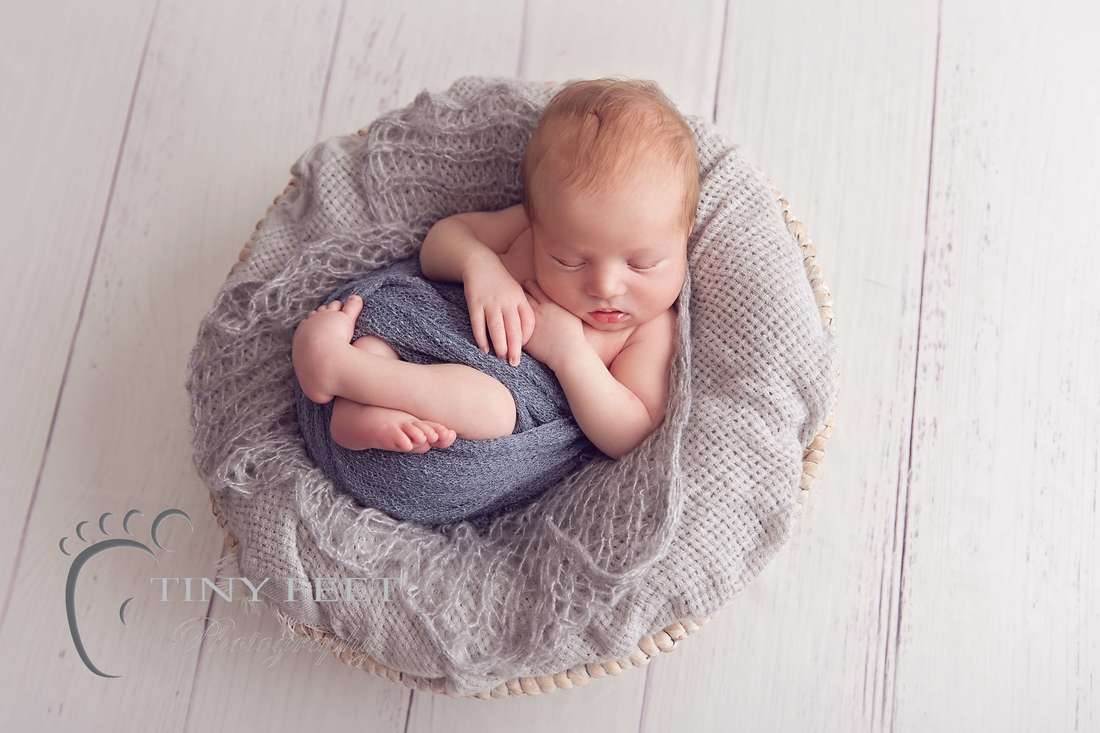 Tiny Feet Photography, newborn baby boy wrapped and posed in grey 