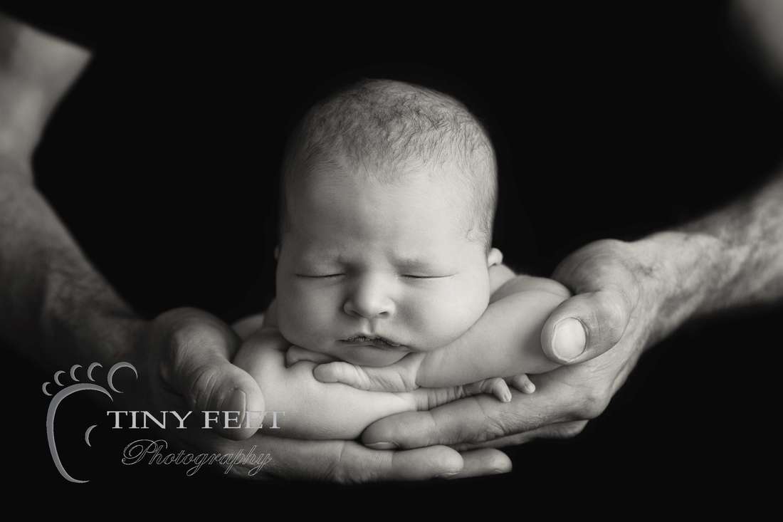 Tiny Feet Photography black and white image newborn baby posed in dads hands