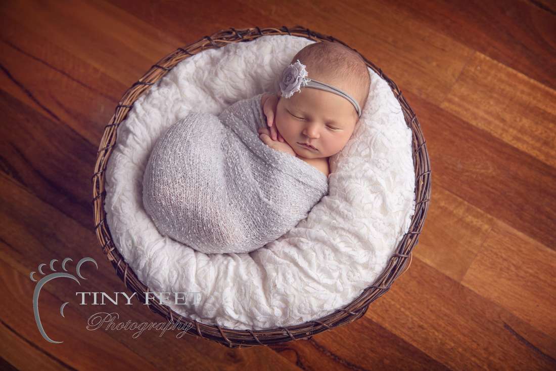 Tiny Feet Photography baby girl posed in basket