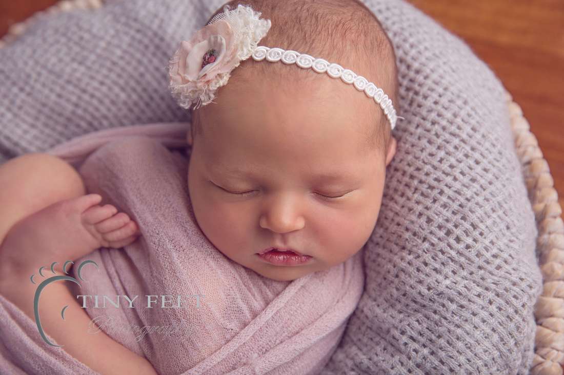 Tiny Feet Photography Newborn baby girl posed in pink and grey bowl