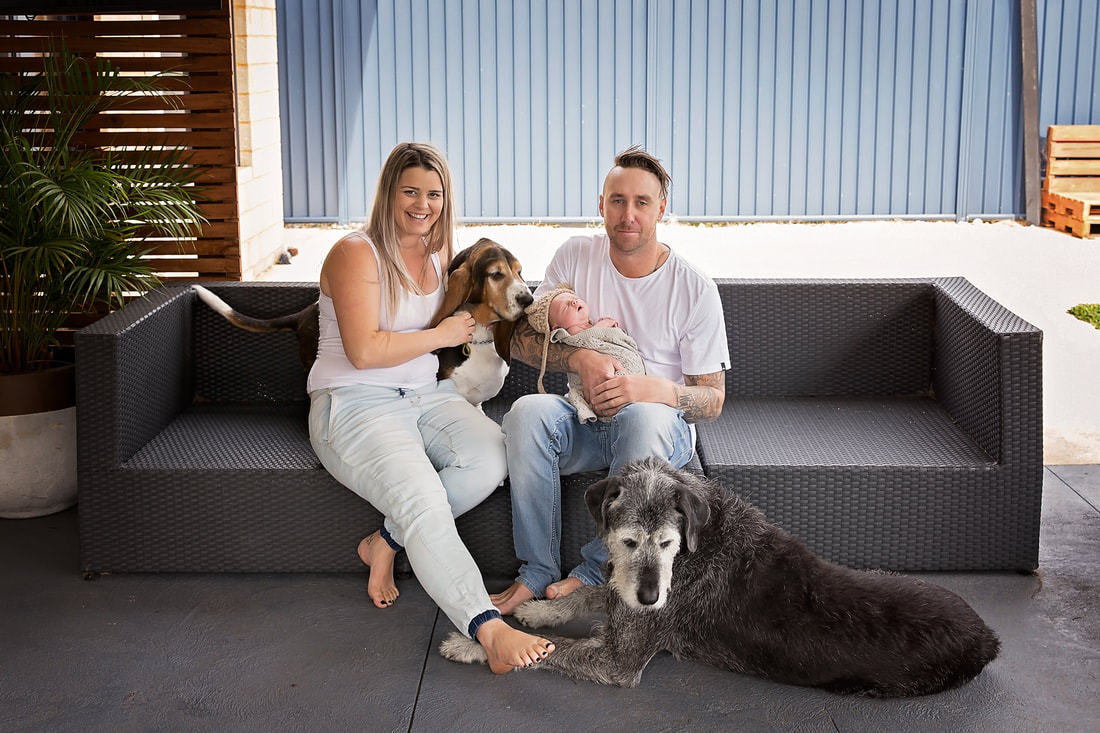 Tiny Feet Photography Family photo with newborn baby and dogs