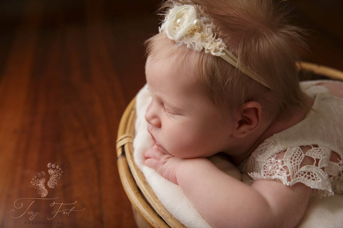 Tiny Feet Photography shot of baby girl and lace posed on chin in hands upright in coconut shell