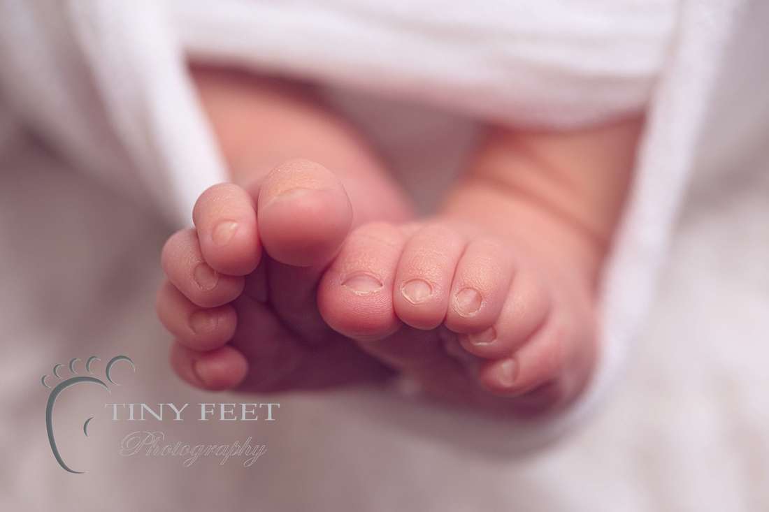 Tiny Feet Photography, Macro close up of newborn toes 