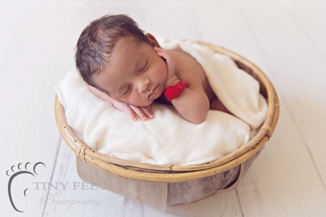 Tiny Feet Photography newborn baby boy posed in on tummy in coconut bowl