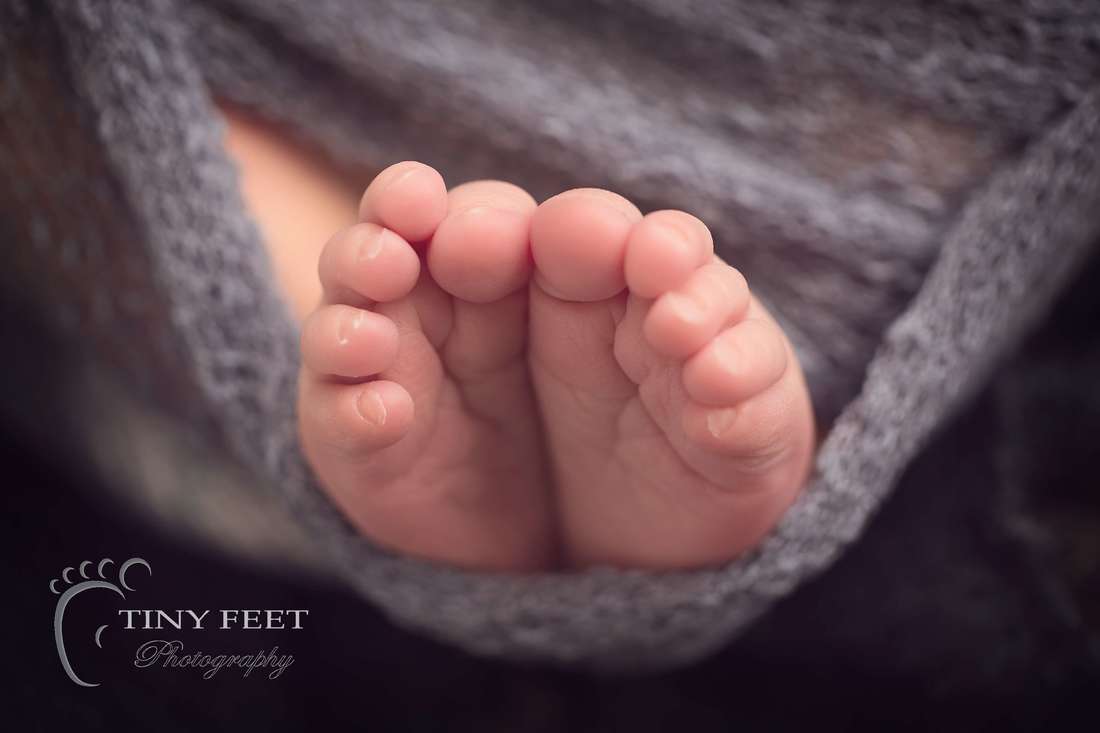 Tiny Feet Photography Ten Tiny newborn toes