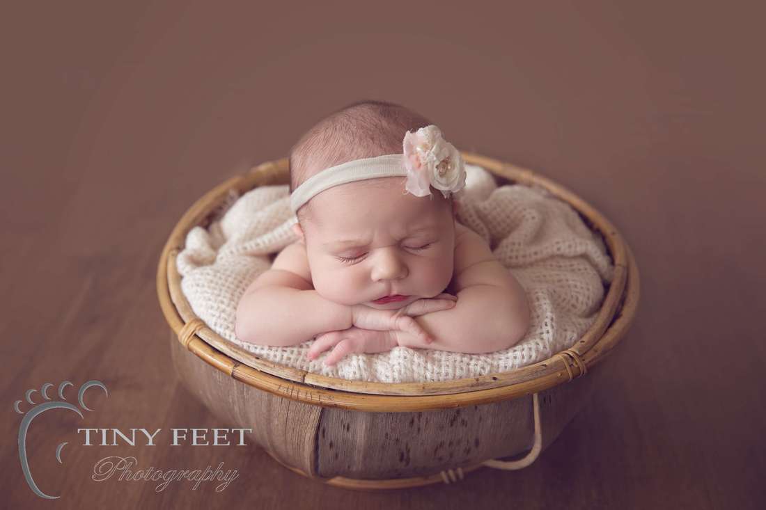 Tiny Feet Photography Newborn posed chin on hands in coconut bowl