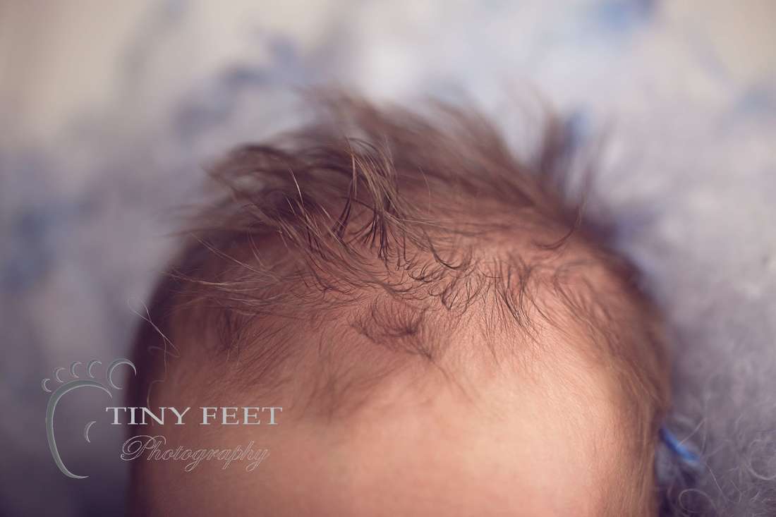 Tiny Feet Photography Macro shots of baby hair