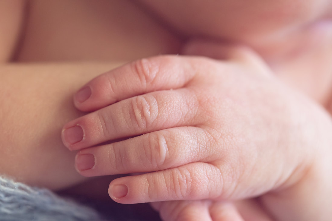 Tiny Feet Photography Macro detailed shots of baby hands