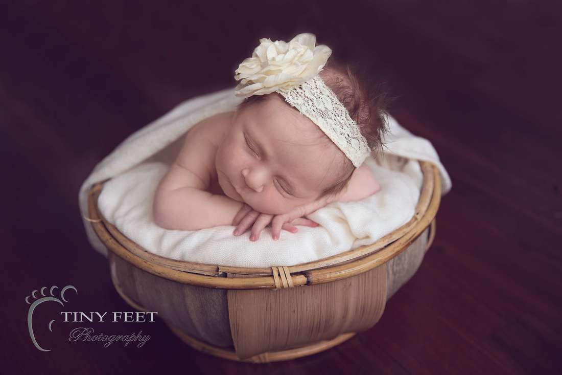 Tiny Feet Photography baby posed chin on hands in coconut bowl