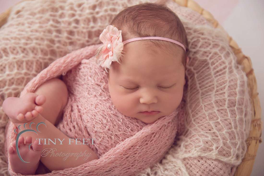 Tiny Feet Photography baby girl posed in bowl with pink wrap